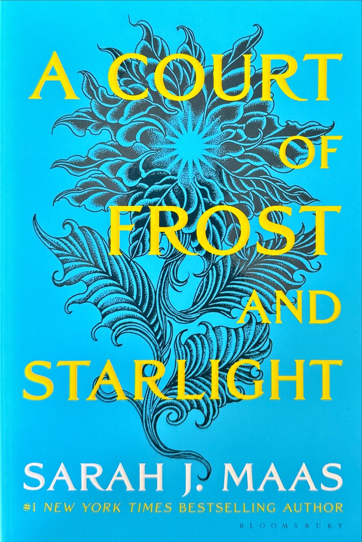 A Court of Frost and Starlight - Maas
