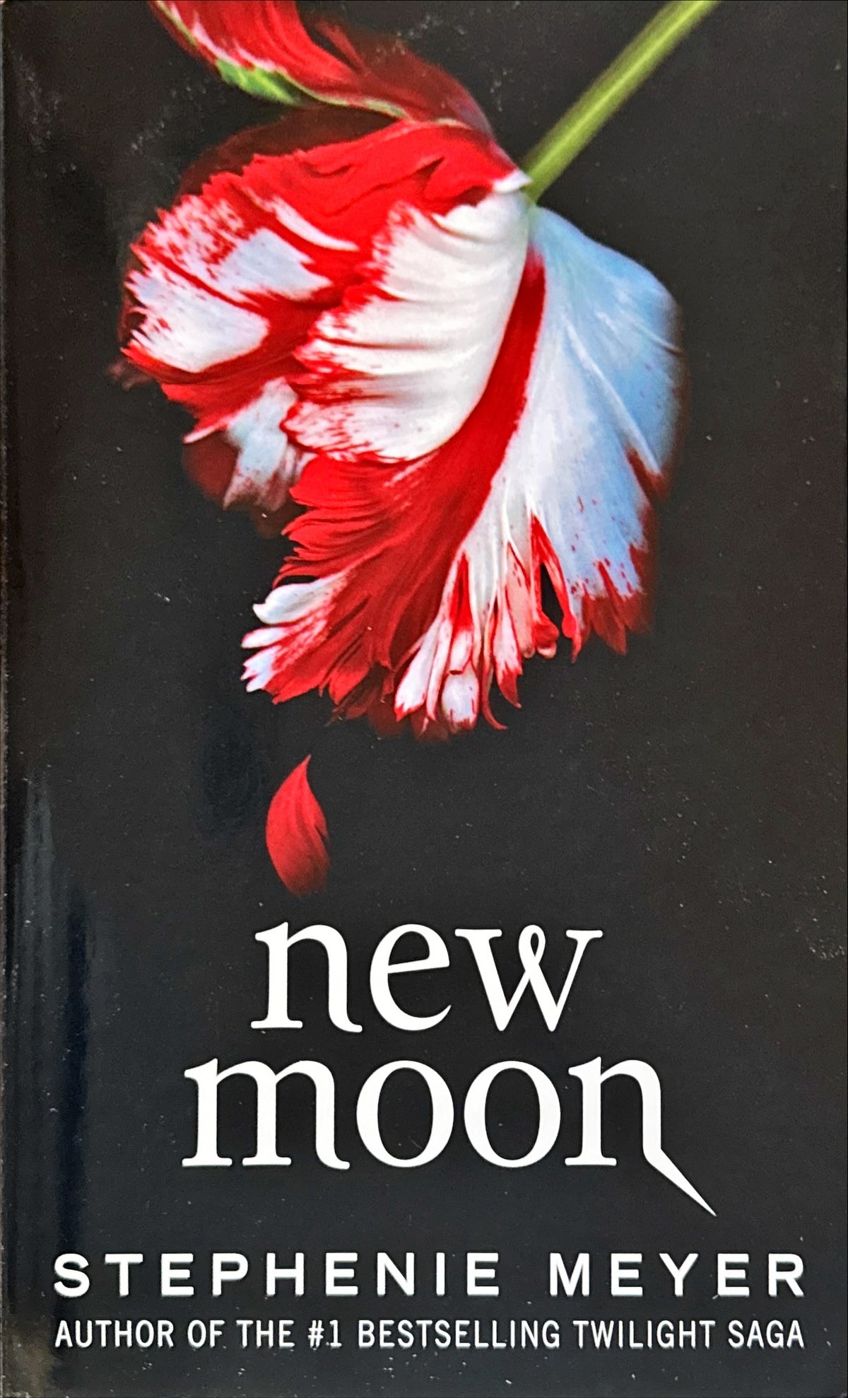 New Moon - Meyer